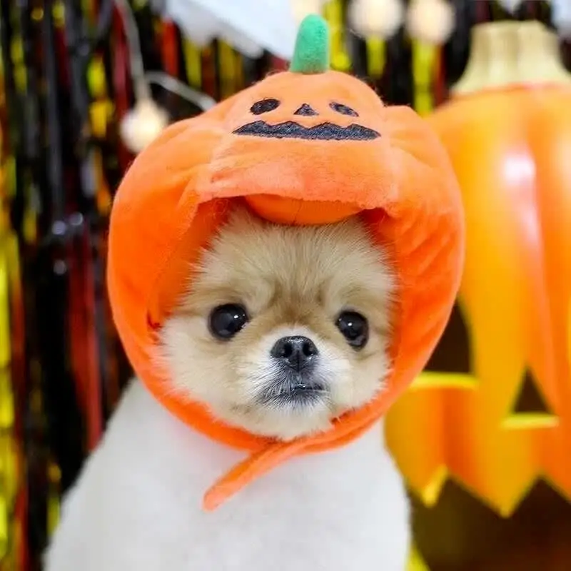 Haustier Halloween Stirnband Mit Teufelshörnern – Verstellbar, Größe M, Für Hunde & Katzen
