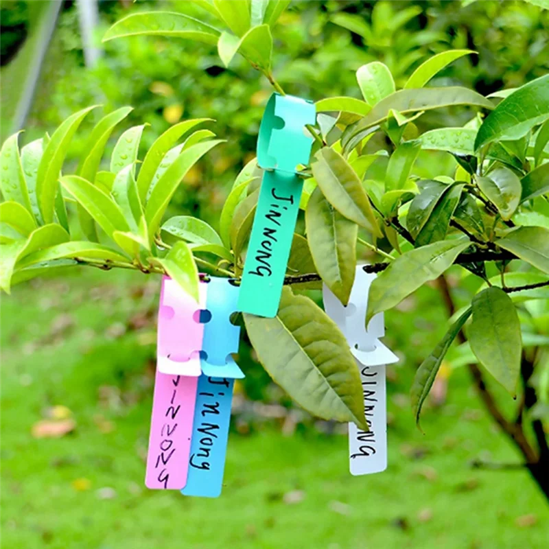Waterproof Ring Label Plant Label Gardening Orchid Label-Y78A