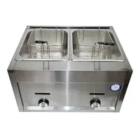 Commercial Gas Fryer Freidora de aire Energy Saving Double Cylinder Deep Fryer Stainless Steel French Fries Frying Machine 2