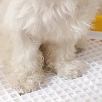 Toilette per Cani Pratica e Impermeabile con Rete Rimovibile, Toilette in Plastica con Parte Superiore Aperta per Addestramento Animali Domestici