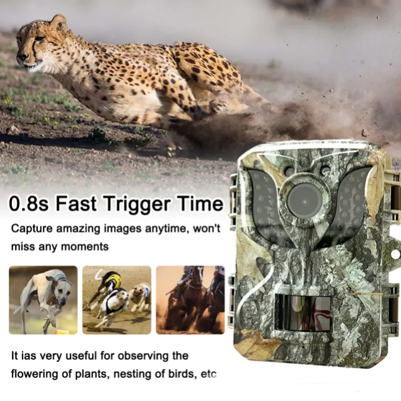 

Waterproof Hunting Camera, 110 Degree Angle, PIR View, Infrared Induction Tracking, IP54, 10m Night Vision Distance, D
