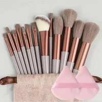 13 Makeup Brushes with