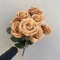 Brown color