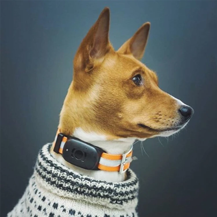 EV-201 Eview Historical Route Dog Activity Monitoring 4G Pet GPS Tracker With Fluorescent Adjustable Nylon Collars