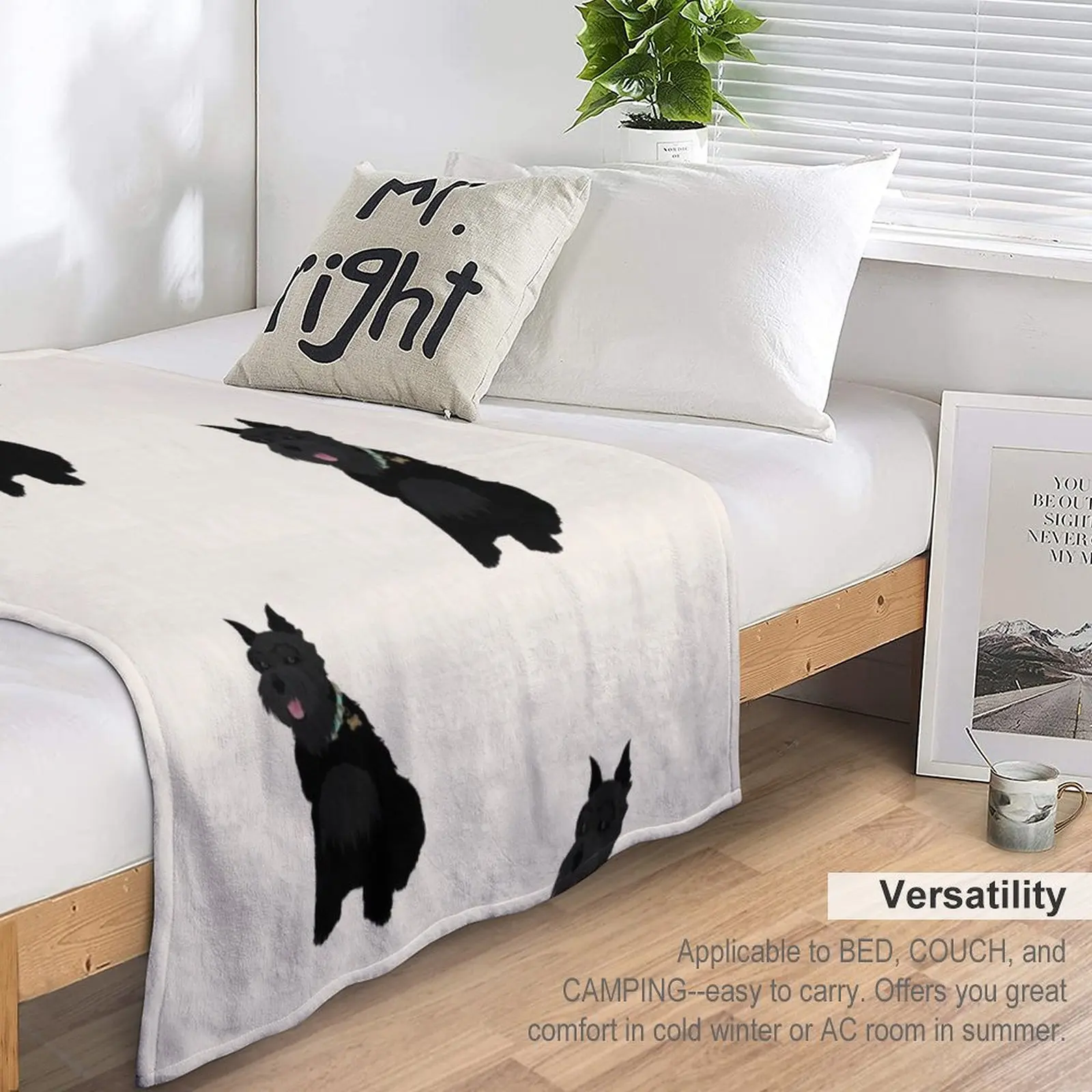 �ű� �� ���� �̴Ͼ�ó �������� ������ ���, ���� ���, ���� ���, ħ�� ���� ����