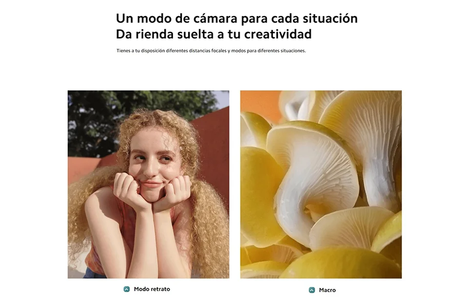 S2d42837d32e74f278b5371c4a90971e18.png