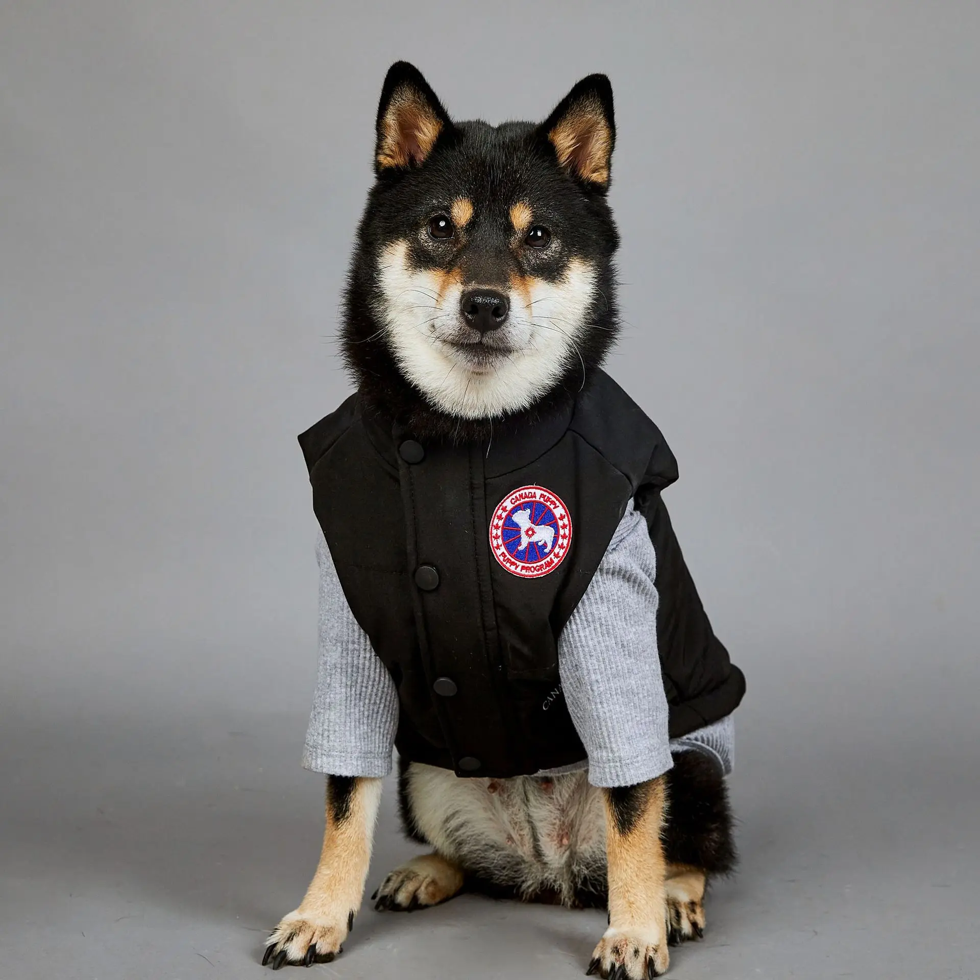 

Pet Vest Winter Dog Windproof Rainproof Cotton Vest Small Medium Large Dog Luxury Winter Jacket Warm Vest Pet Items