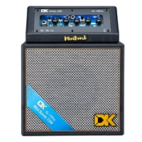 iG-15 PRO Electric Guitar Amp 15 Watts Rechargeable with Distortion Delay Bluetooth & Acoustic for Outdoor Playing and Live 1