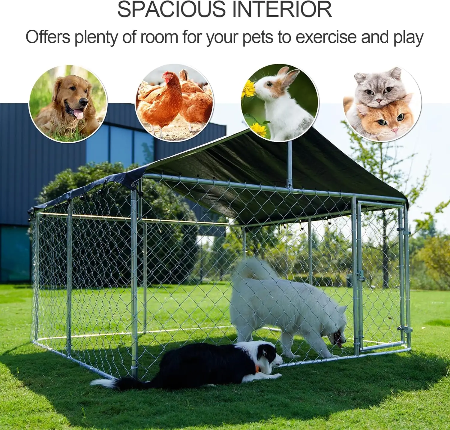 Outdoor dog kennel image 2