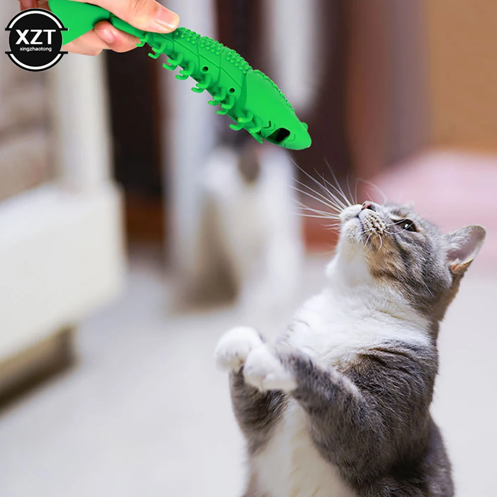 Novo catnip brinquedos para gatos 360 graus dentes acessórios de limpeza do  brinquedo para animais estimação jogos interativos borracha toothbursh  mastigar pet cat suprimentos - AliExpress