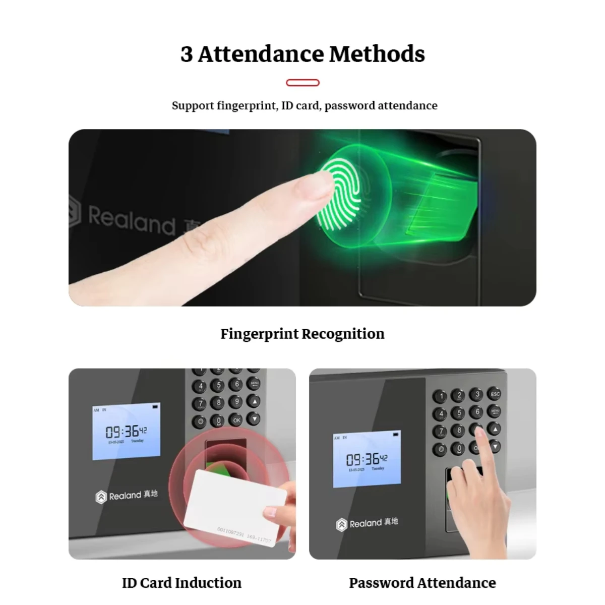Realand E230 지문 번호 근태관리기 2.4인치 USD 무료 클라우드 SDK 리눅스 웹 관리