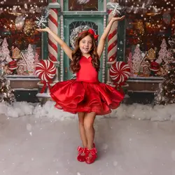 Vintage Red Flower Girl Dresses Tiered Ruffles Sleeveless Kids Birthday Gowns Short Little Girls Photoshoot Summer Dresses