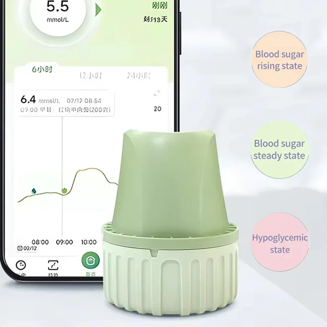 2cgm system glucose sensor 24h Real Time Monitoring Tester Diabetes Suger Sensor Health CGM Monitors