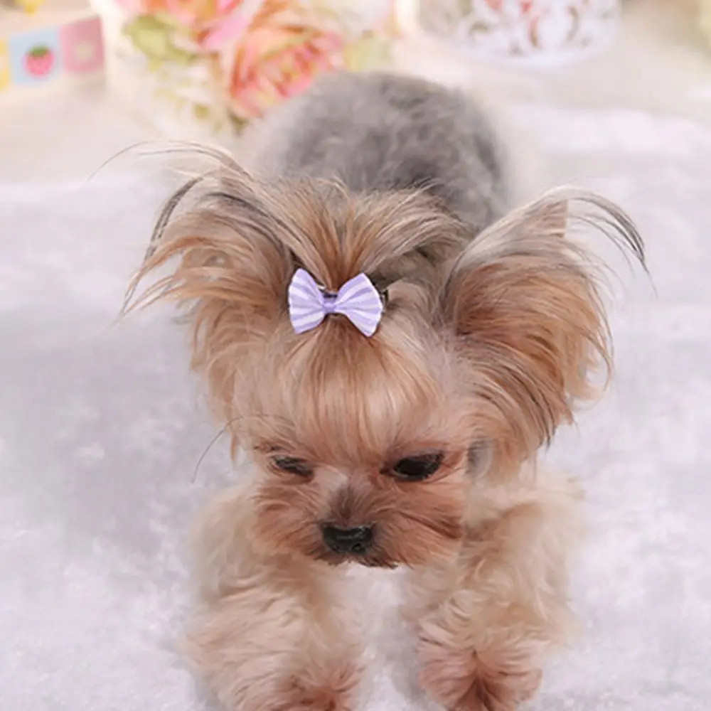 Title 7, Dog Hair Clips Cat Sweet Bow Hairpins Hair Barr...