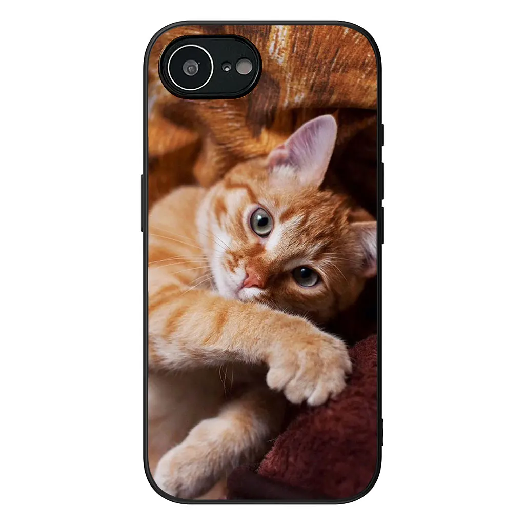 Kitten Cat Design Phone Case Cover