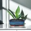 Ceramic Flower Pots with Drain Hole with Vent Design Easy to  for Indoor and Outdoor Plants 1