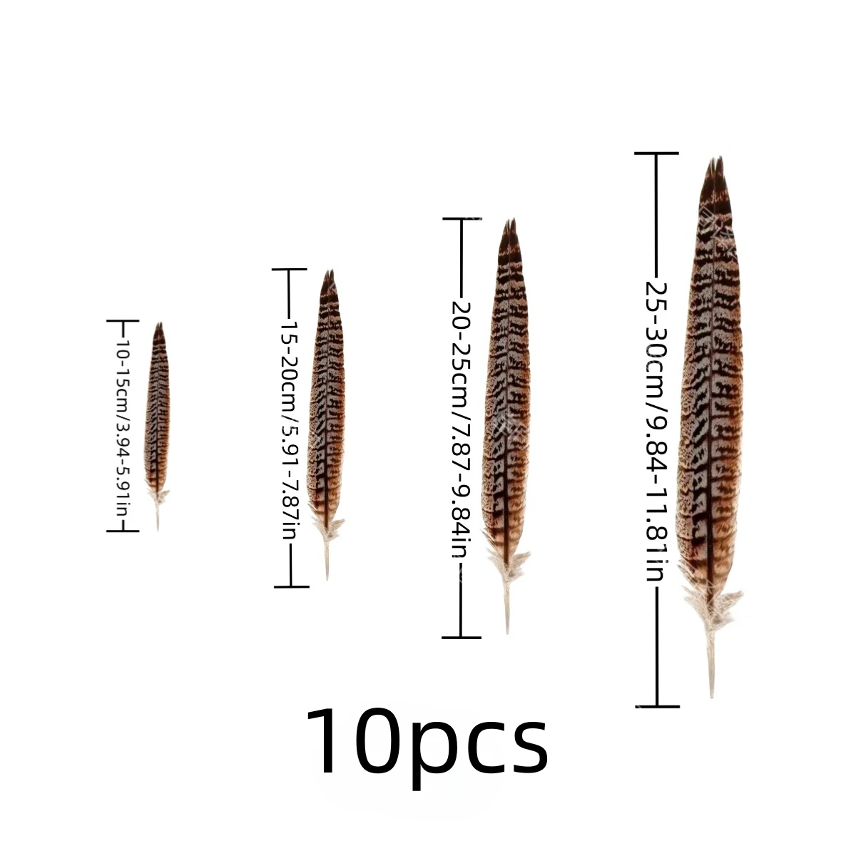 Natural Pheasant Feathers 10pcs Female Tail Feathers pheasant feathers natural feathers