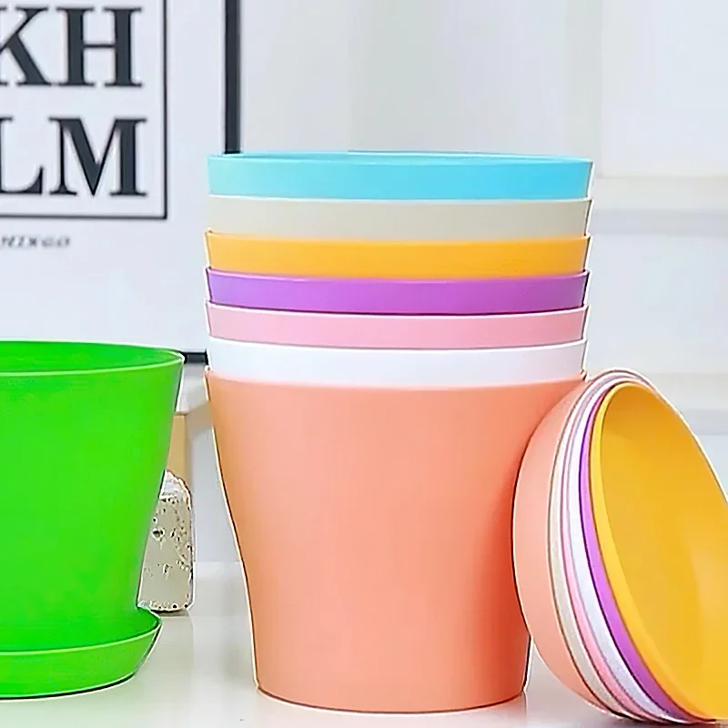 Vibrant Decorative Succulent Flowerpot