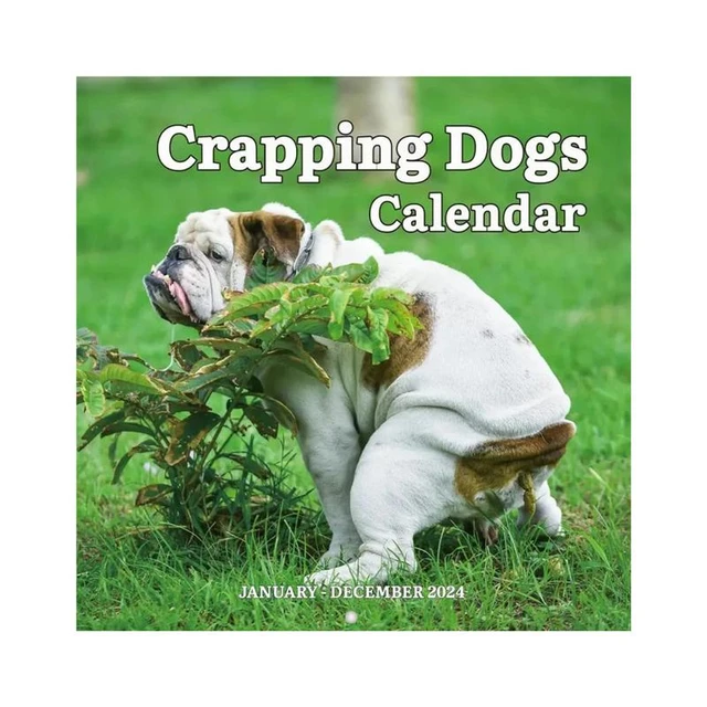 2024 Dog Calendar Cute Monthly Pooping Puppies 2024 Art Calendar Funny  Dangling Dog Calendar For Home