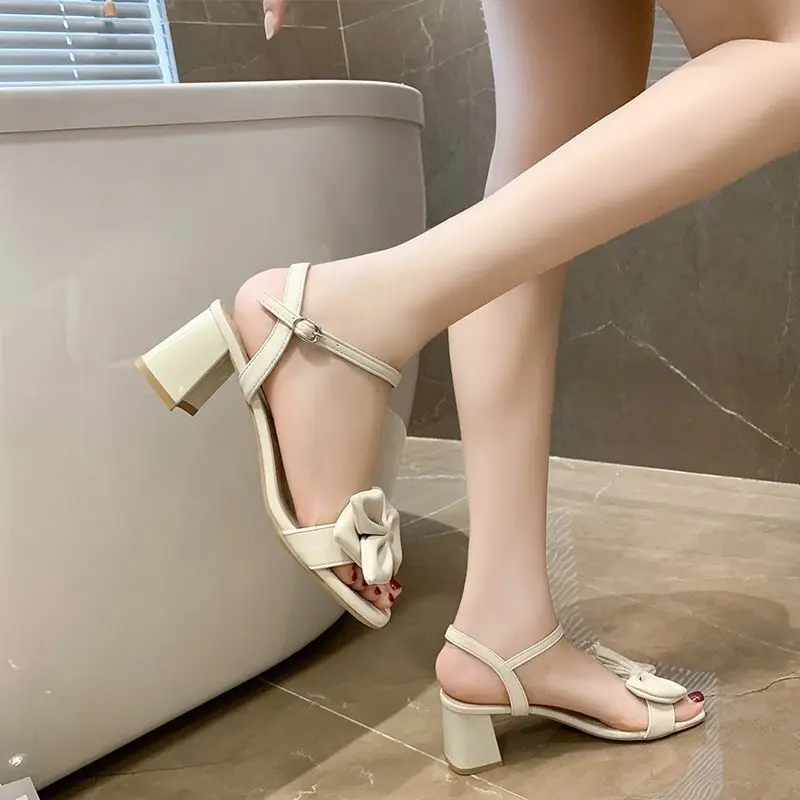 Single Shoes Hollow Mesh Women's Summer Thick Heel Medium Heel Pointed Toe  Large Size Zipper Sandals Women's Shoes – the best products in the Joom  Geek online store