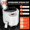 Portable Sauna for Home, Full Size Steam Sauna Tent with 3L 1200W Large Capacity Steamer and Remote Control, Personal Steam Room 3