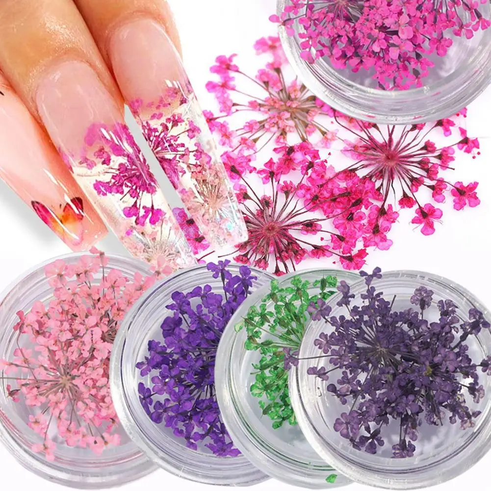 1 Box Exquisite Nails Accessories Nail Art Decorations Non-Fading Natural Dried Flower Nails Art Decorations Decorative