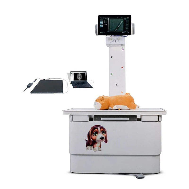 Professional veterinary equipment Veterinary Digital X Ray Machine