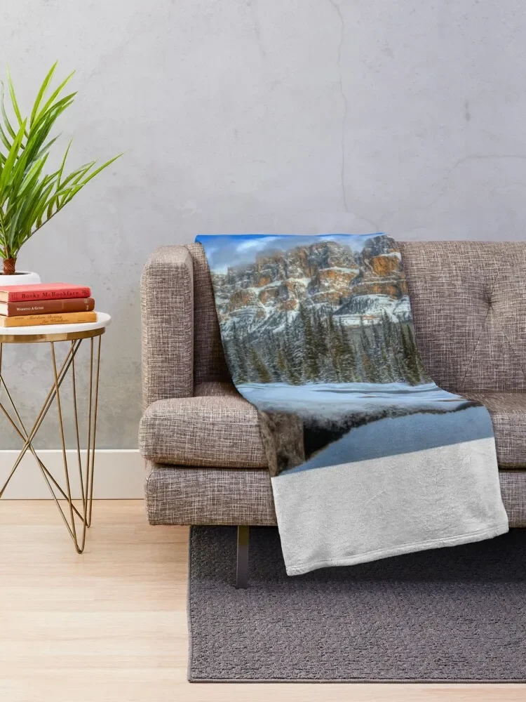 ĳ�� �Ͻ� ������ ���, ���Ÿ� ���,  ���� ���