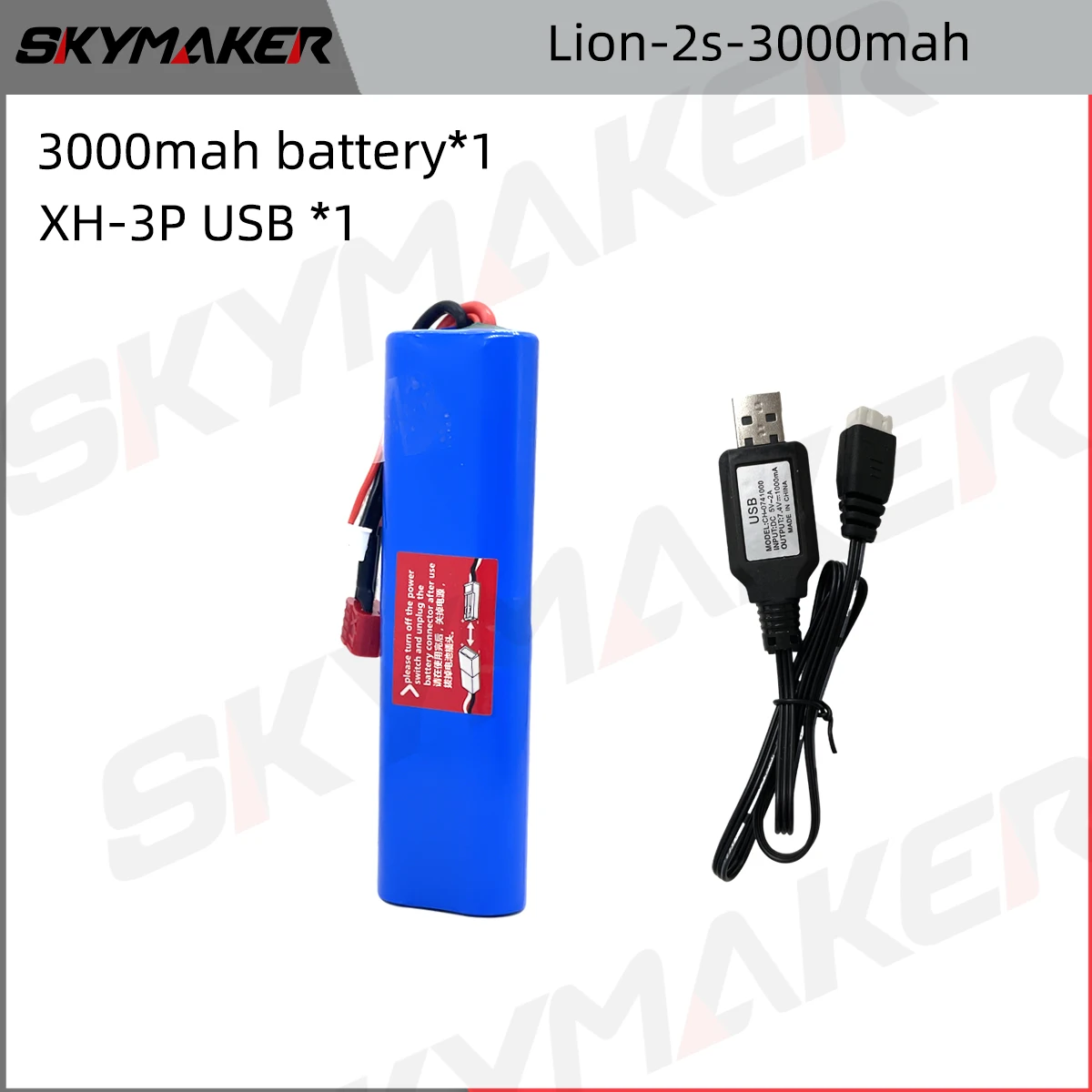 Lion-2s-30001B-1LX3