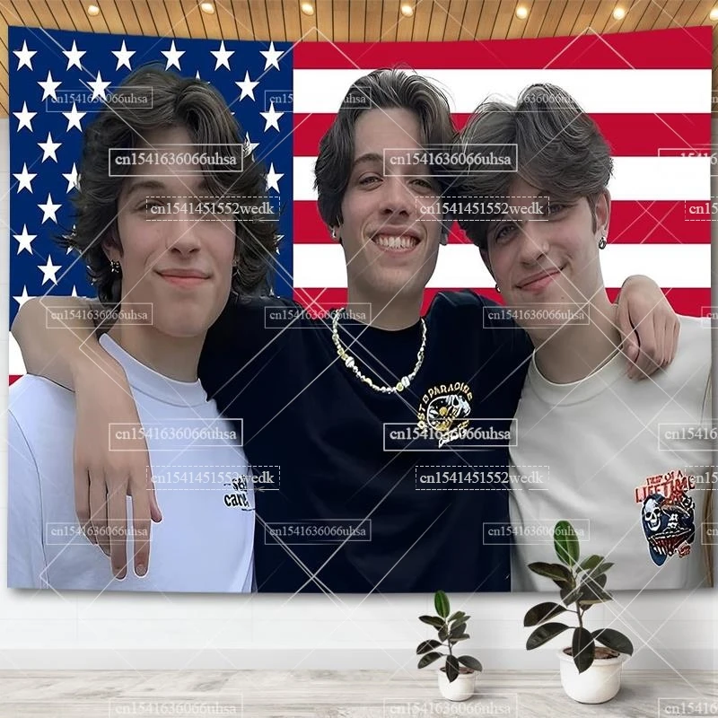 Sturniolo Triplets American Flag Wall Hanging Tapestry Funny Merch Meme Tapestries Room Decor Aesthetic Dorm Party Backdrops party decorations,tapestry decorations