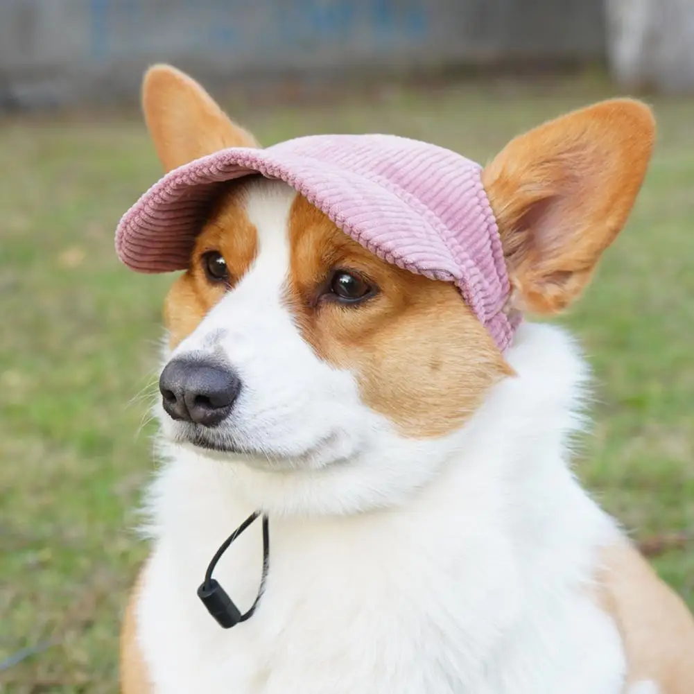 

Casual Baseball Pet Hat Soft Comfortable Buckle Adjustment Earless Design Photo Props Corduroy Anti-UV Pet Hat Summer Supply