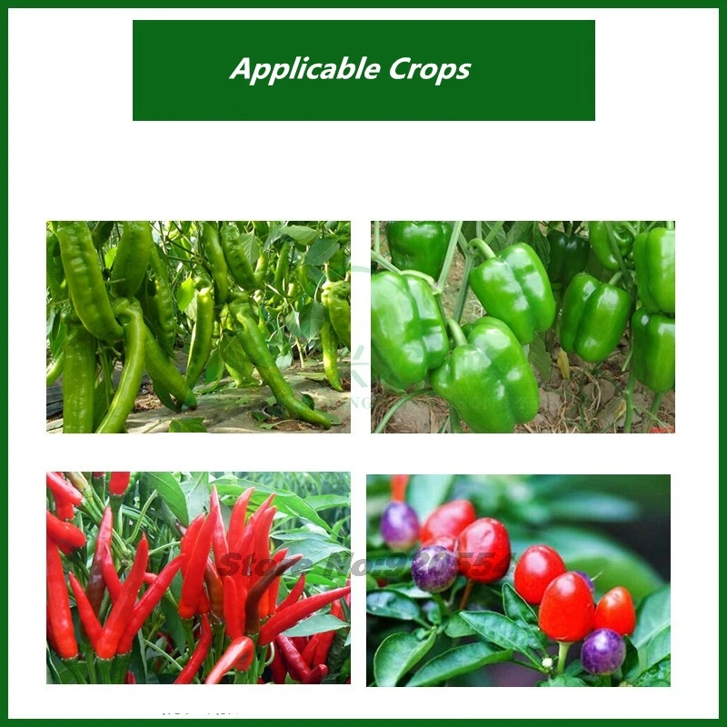 Plant Compound Fertilizer 25g for Peppers Preserve Flowers Colorful Swollen Fruit Middle Element Water-soluble