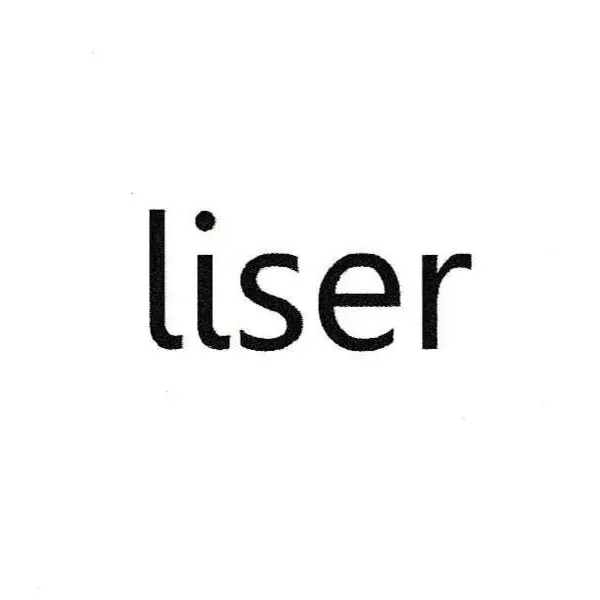 Liser Dropshipping Store