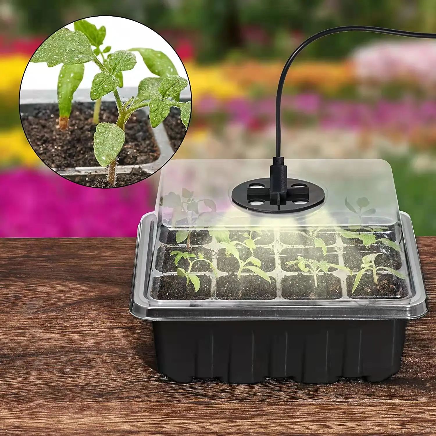 2022 12 Hole Seedling Trays Seed Starter Starter Plant Flower Grow Box Propagation For Gardening Grow Starting Germination Box