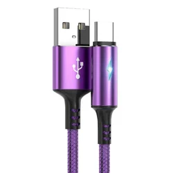 Compact Nylon & Aluminum USB C to USB A Fast Charging Cable - 25cm - 25cm (Purple  USBA to C)