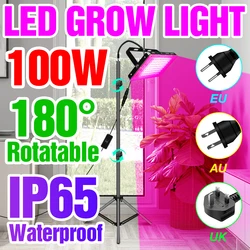 LED Grow Light Full Spectrum IP65 Waterproof 25W 50W 100W Phyto Lamp Indoor Vegetables Seedling Flower Growing Tent Hydroponic