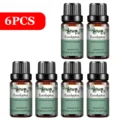 6pcs Eucalyptus