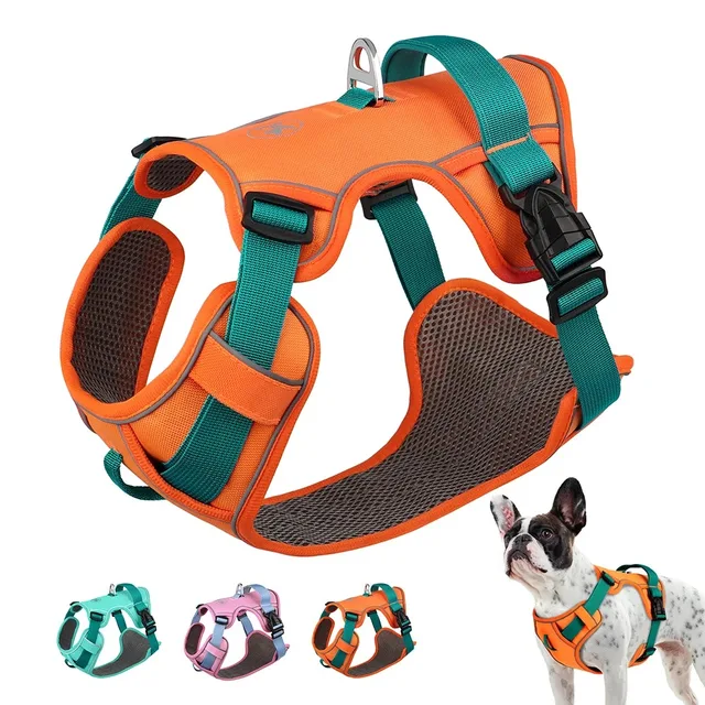 Dogs Chest Strap Dog Harness and Leash Set Small Pet Supplies Puppy Accessories Big Breeds Pets Backpack Large Collar Dogs Chest Strap Dog Harness and Leash Set Small Pet Supplies Puppy Accessories Big Breeds Pets Backpack Large Collar
