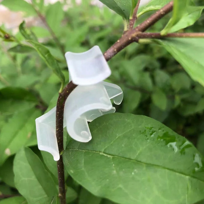 10pcs Plastic Plant Vines Curving Shapers Twisting Tree Branches Grow Clips Benders Styling Bonsai Curved Elbow Garden Tool