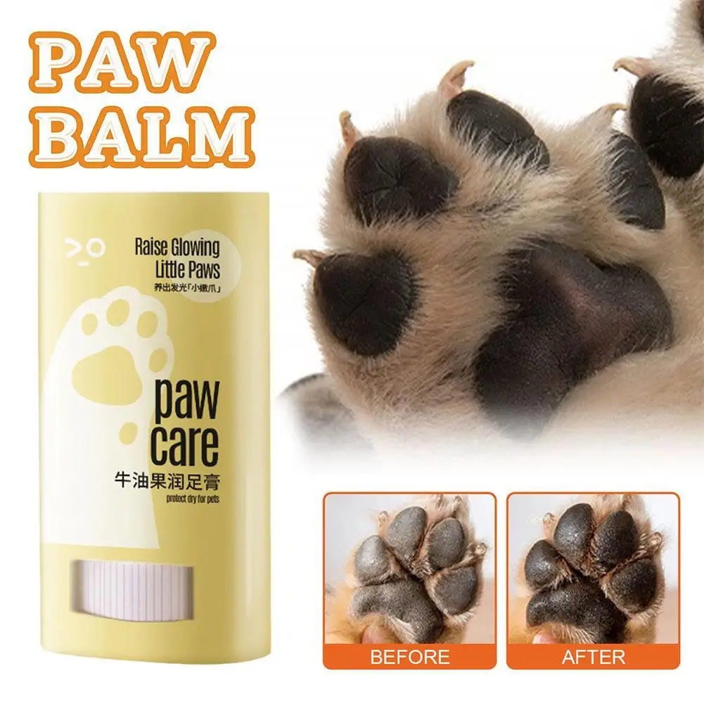 

Pet Paw Balm Dog Caring Supplies Foot Moisturizer Household Care Winter Paws Cream Nail Supplies For Professionals U0k5