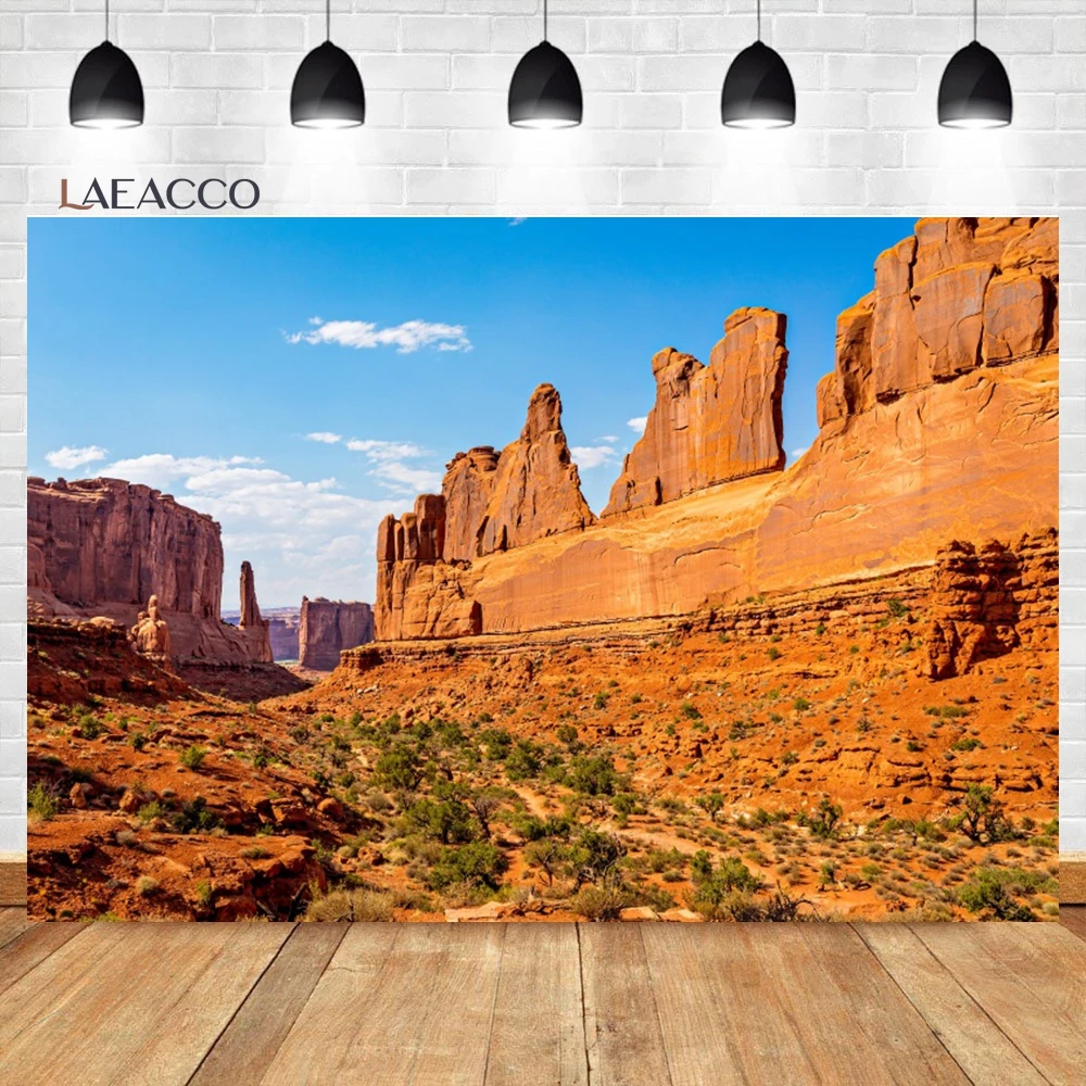 Laeacco 사암 사막 산악 배경, 푸른 하늘 흰 구름 선인장 자연 풍경, 성인 초상화 사진 배경