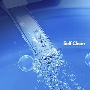 self clean