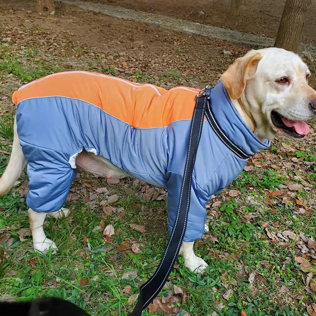 Cão frio tempo casacos forro de lã reflexivo cachorro inverno macacão  pequeno grande jaqueta para bulldogs labrador roupas para cães - AliExpress