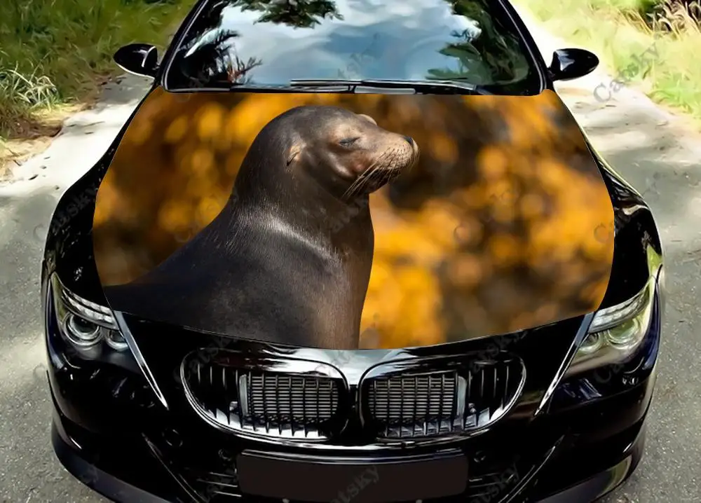 

Animal - Sea Lion Funny Car Hood Vinyl Stickers Wrap Vinyl Film Engine Cover Decals Sticker on Car Auto Accessories