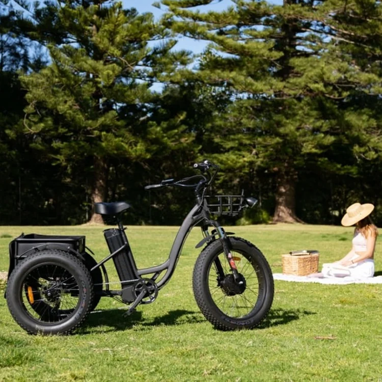 大人用電動三輪車,カスタム電動自転車,3輪,工場価格,RSD-708, 2022