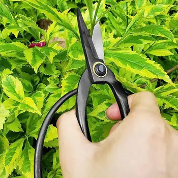 7.3-Inch Black Bonsai Scissors - Carbon Steel Home Gardening Pruners for Branch Pruning, Flower Arrangement & Plant Care