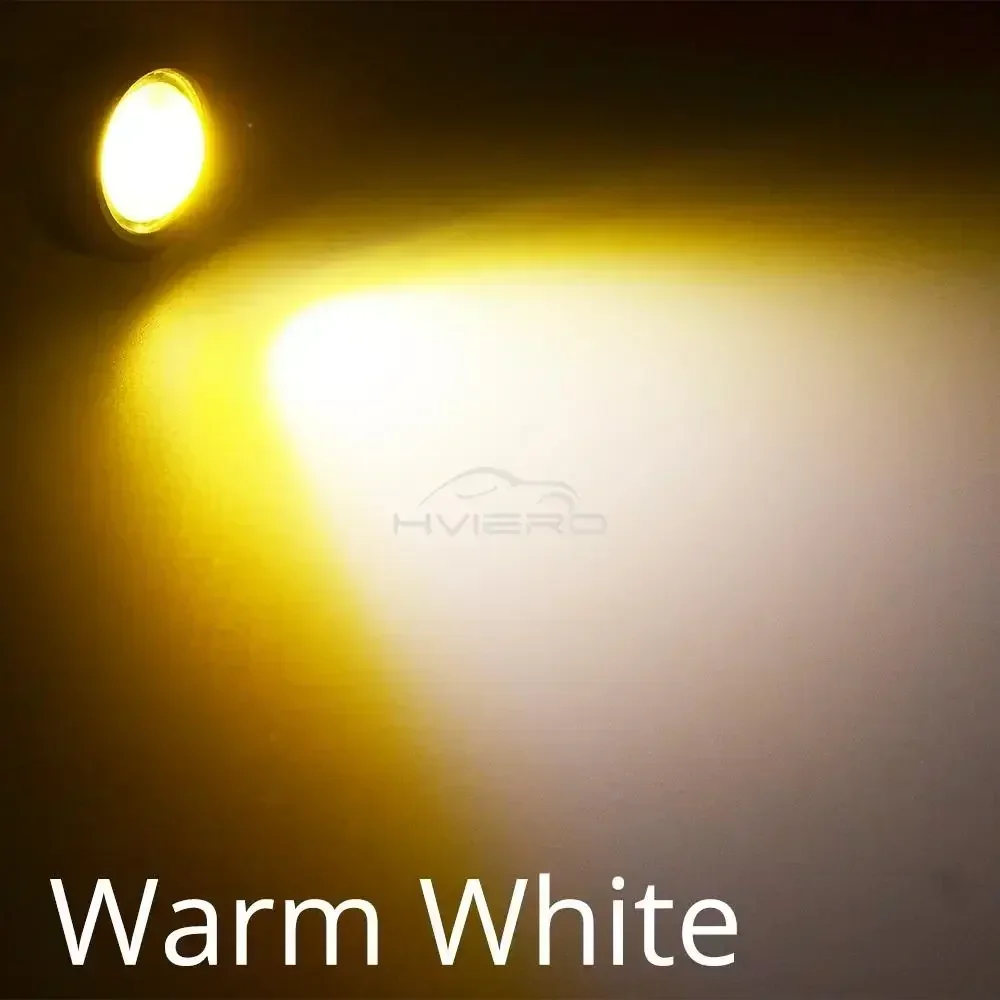 Warm White
