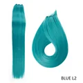 BLUE L2