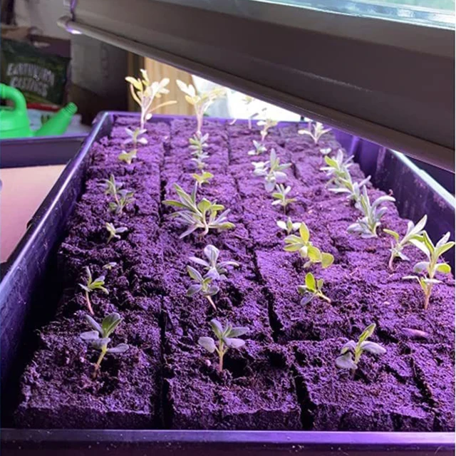 Kézi Talaj Blokkoló Egy/Kettős Soros Talajblokk Készítők Rozsdamentes Acél Mikro Palánták Óvodai Szerszámok Kerti Kellékek - Image 4