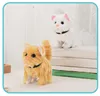 Children's toy simulation cat can walk and call electronic pet electric plush kitten 3
